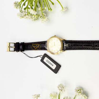 Aigner Watch A44200 Treviso Ladies Gold dial Brown leather strap 3ATM water resistance Swiss made all stainless steel