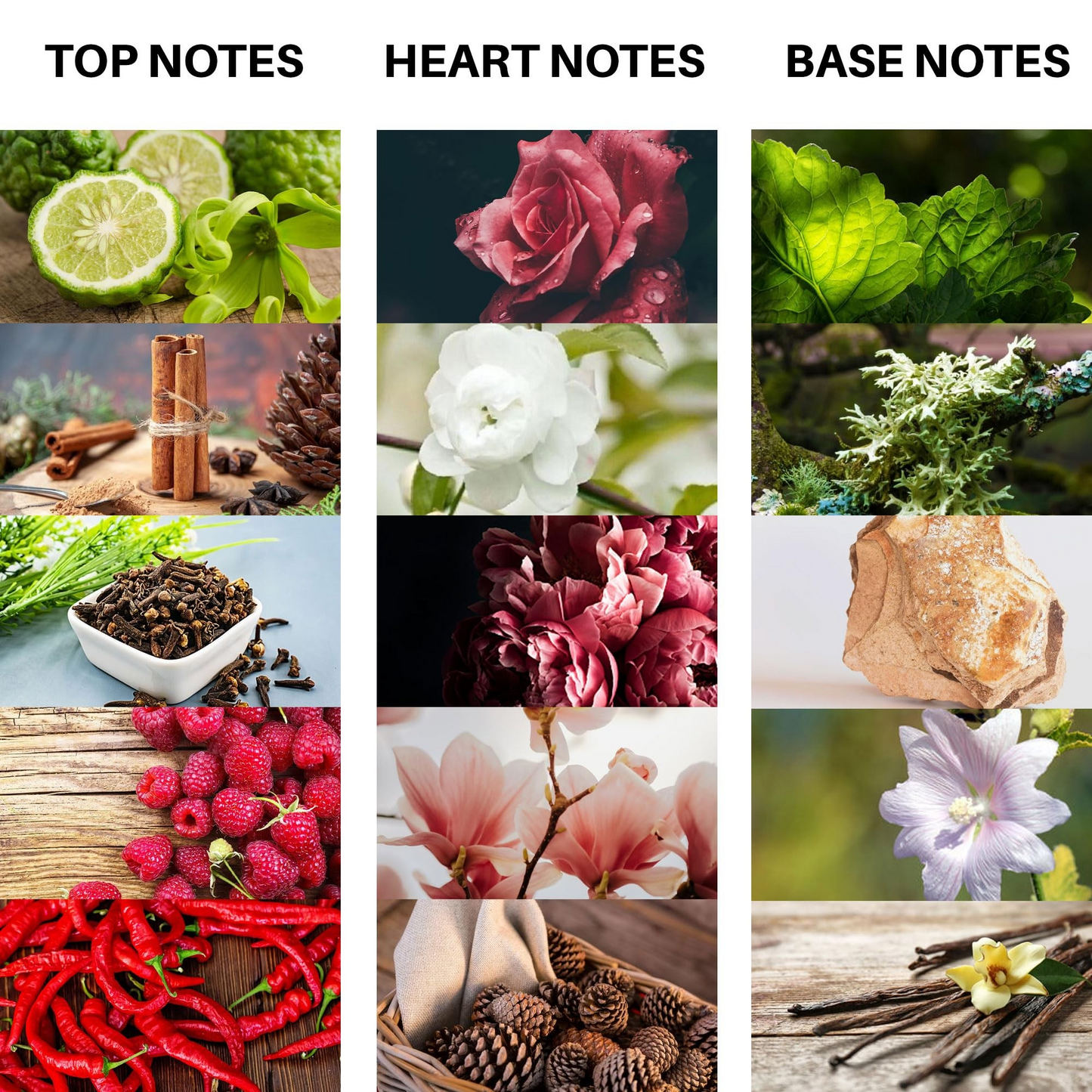 Atlantic Crimson Purple Eau De Parfum 100ML For Women