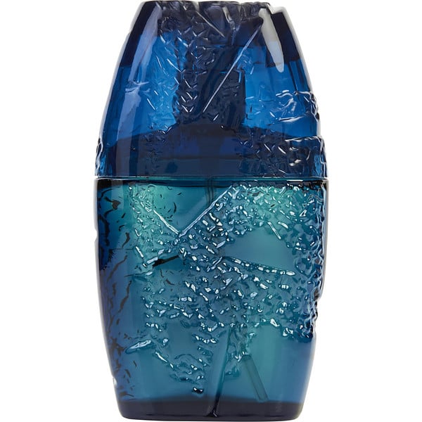 HORIZON POUR HOMME By GUY LAROCHE Eau De Toilette 100ml Spray