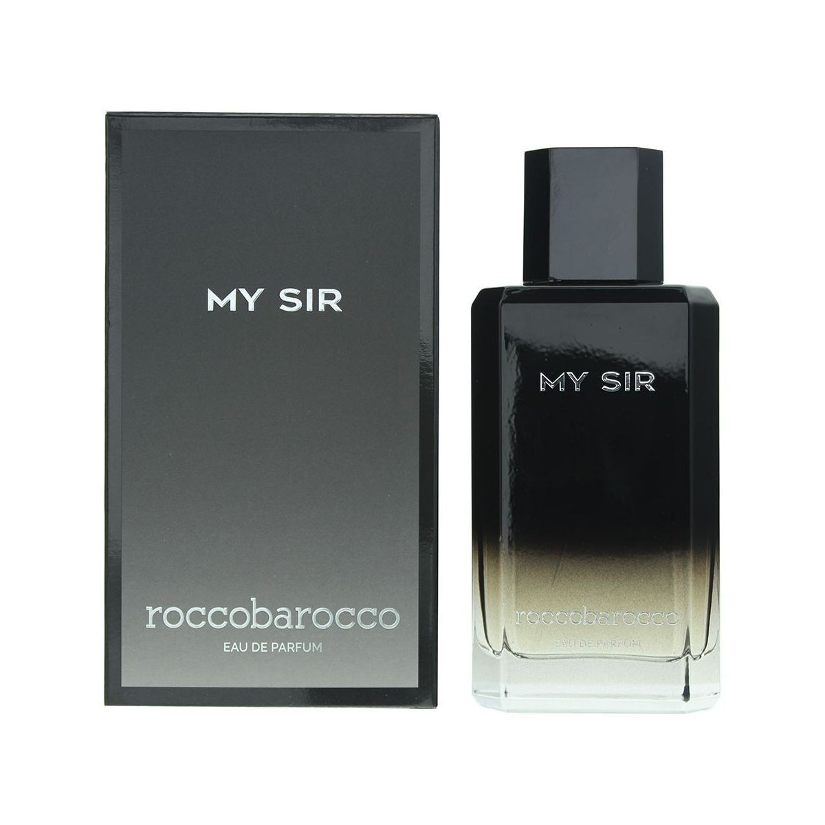 Roccobarocco My Sir Perfume For Men Eau de parfum 100ml 3.4floz 8011889077016